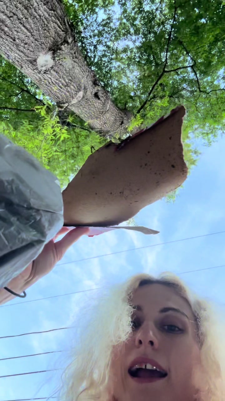 @jayne.dough