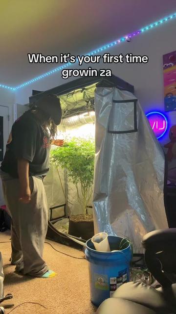 @PurpleLungz