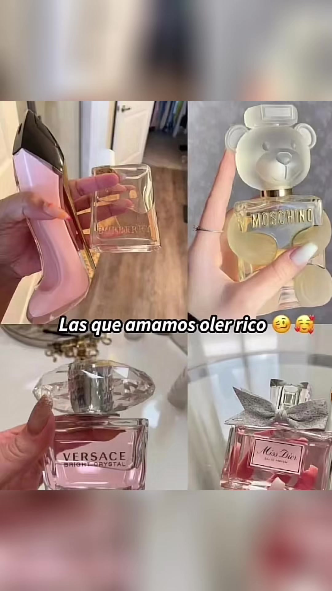 @Vivian Lopez