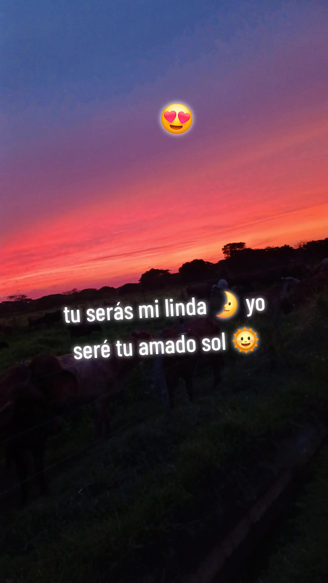 @ivanurdaneta175