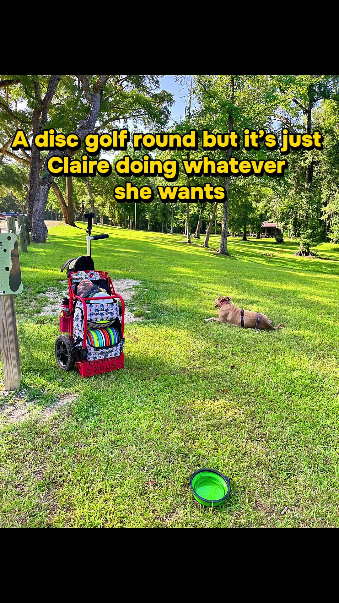 @Not The Worst Disc Golf