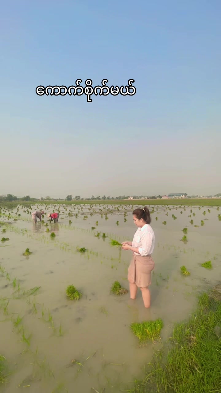 @ဝင်းသီတာဆန်စက်09/757 997 274