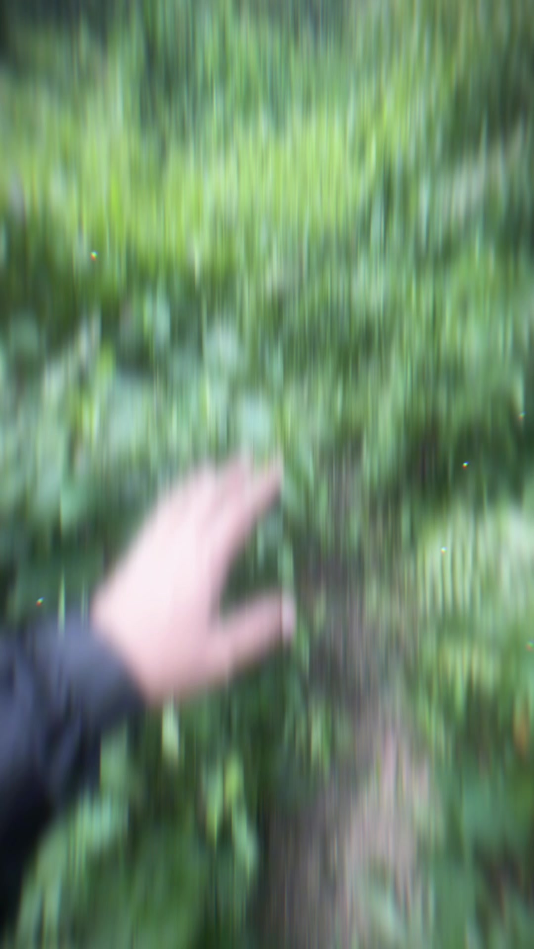 @A R A H.