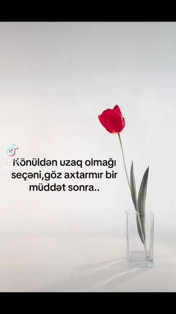 @verdik _&ouml;mr&uuml; _badə