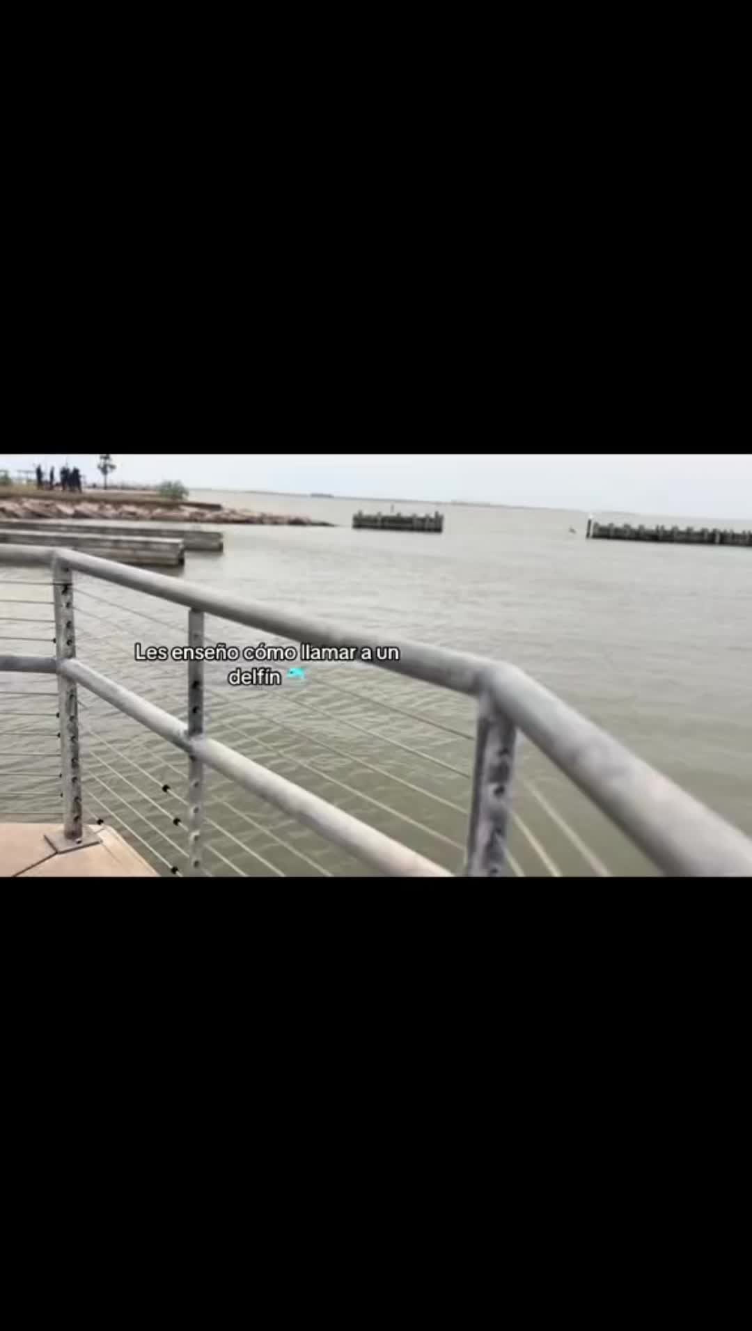 @🪼Mar 🌊