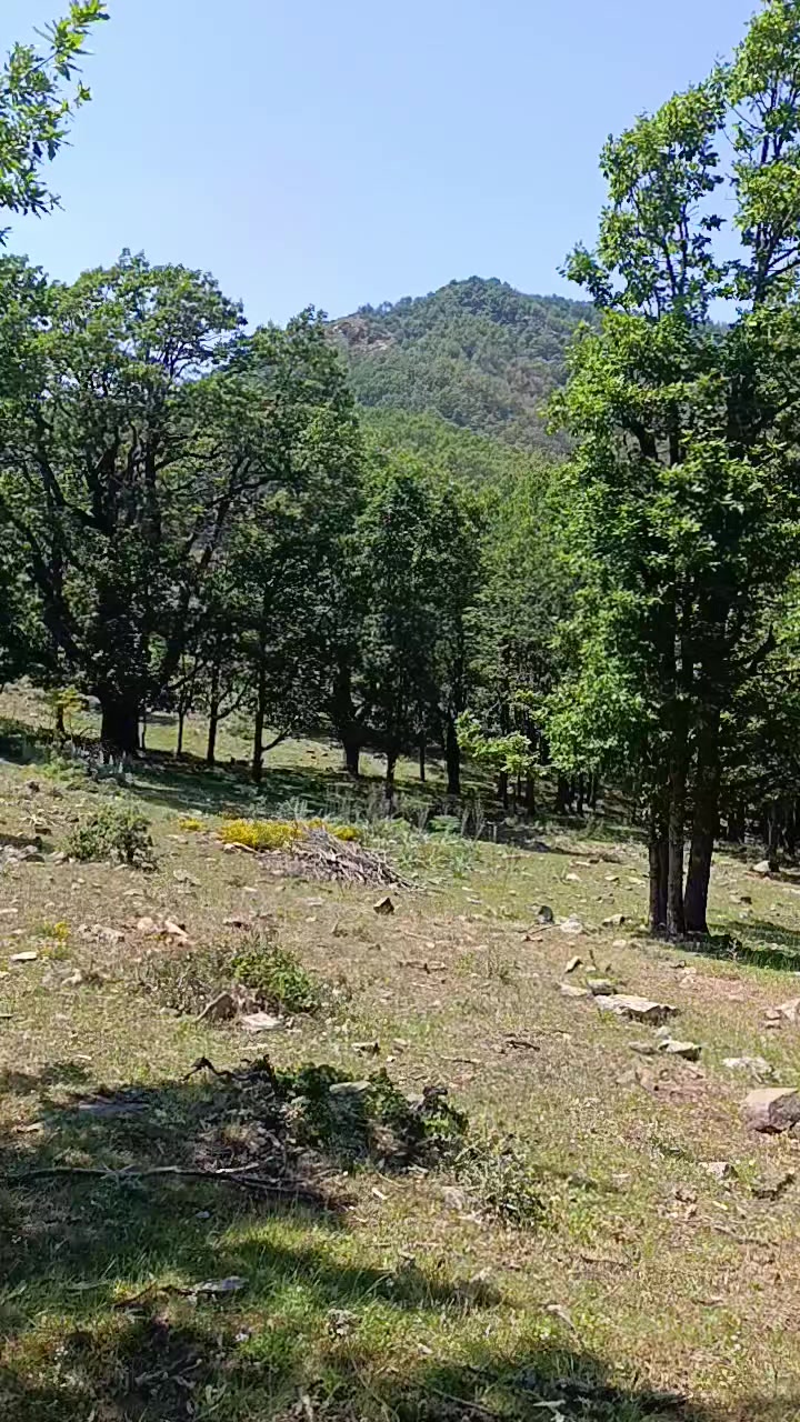 @JubaHiking