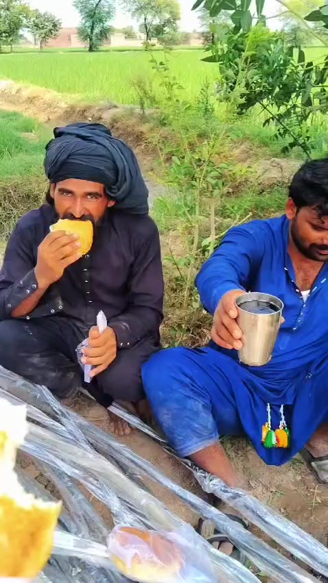 @shahbaz Punjabi 0786
