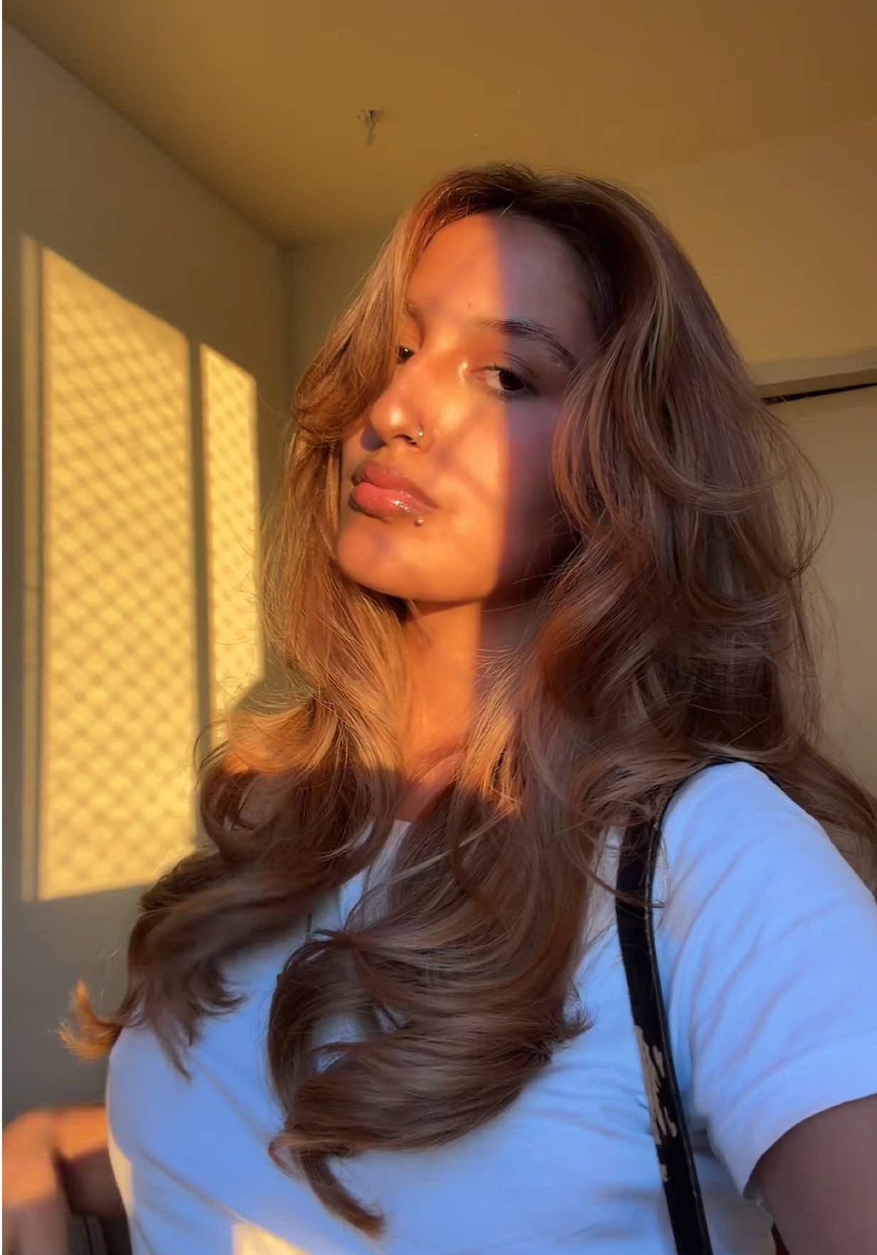 @webdiva