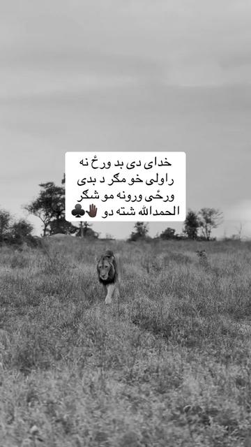 @🥷🏿کــــپــــچــــه🥷🏿