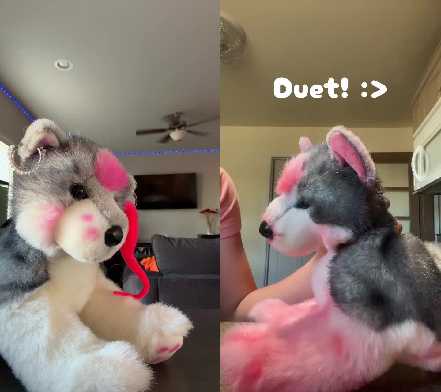 @✨🌙Moon_pups🌙✨