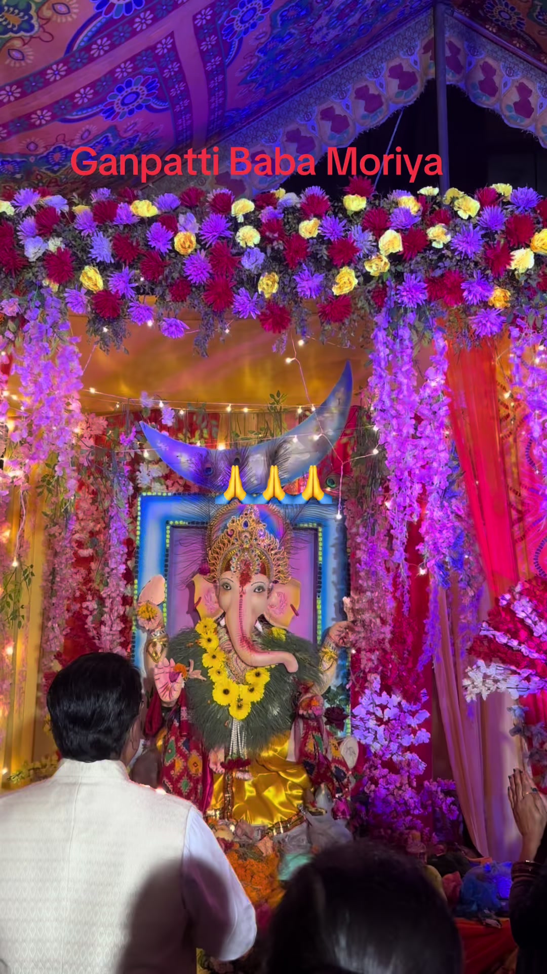 @Punam Shah645