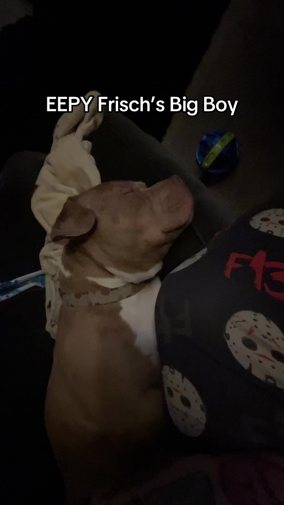 @TyRoni🫶🏼🧿✨