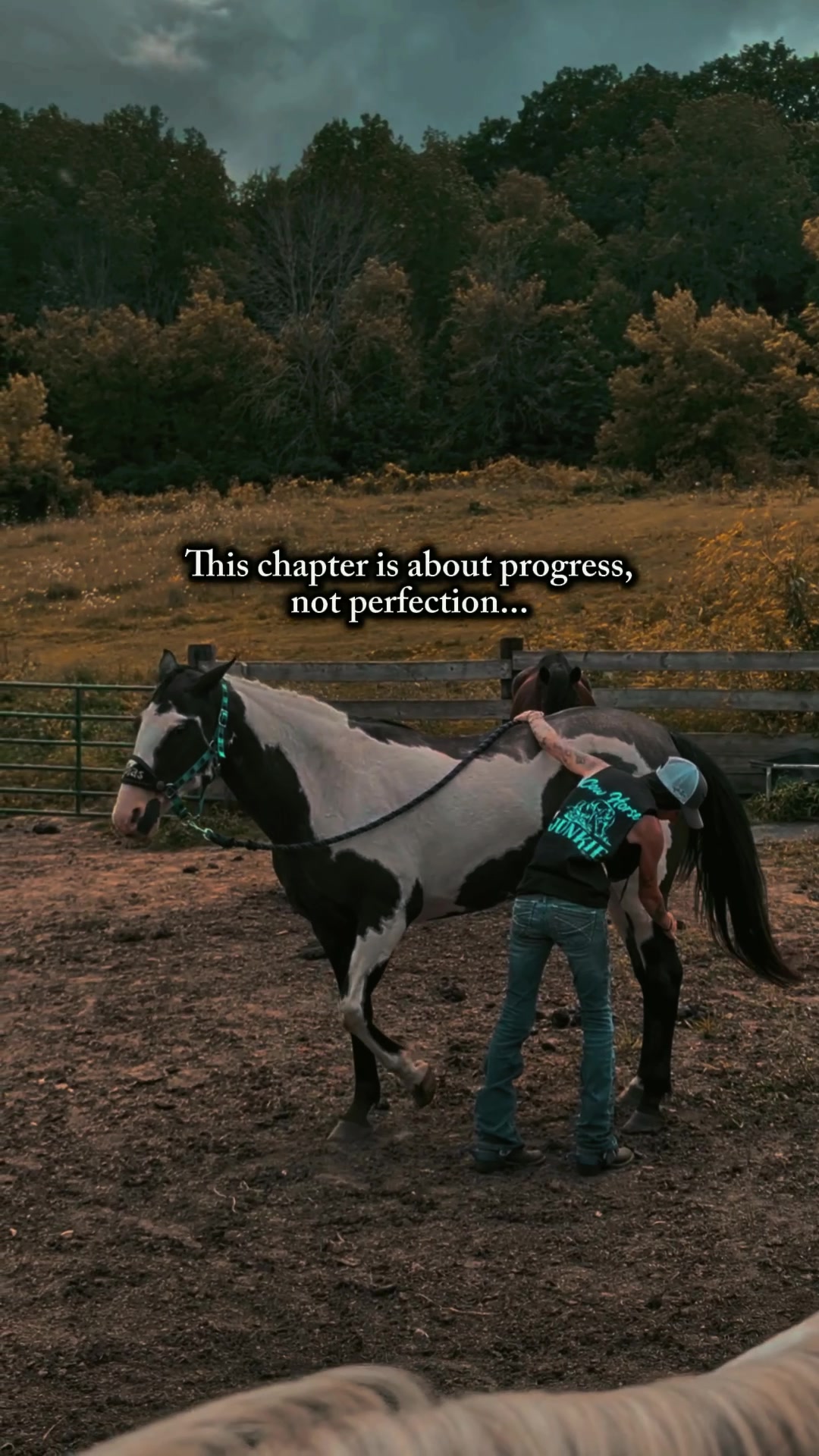 @RogueCowPonies