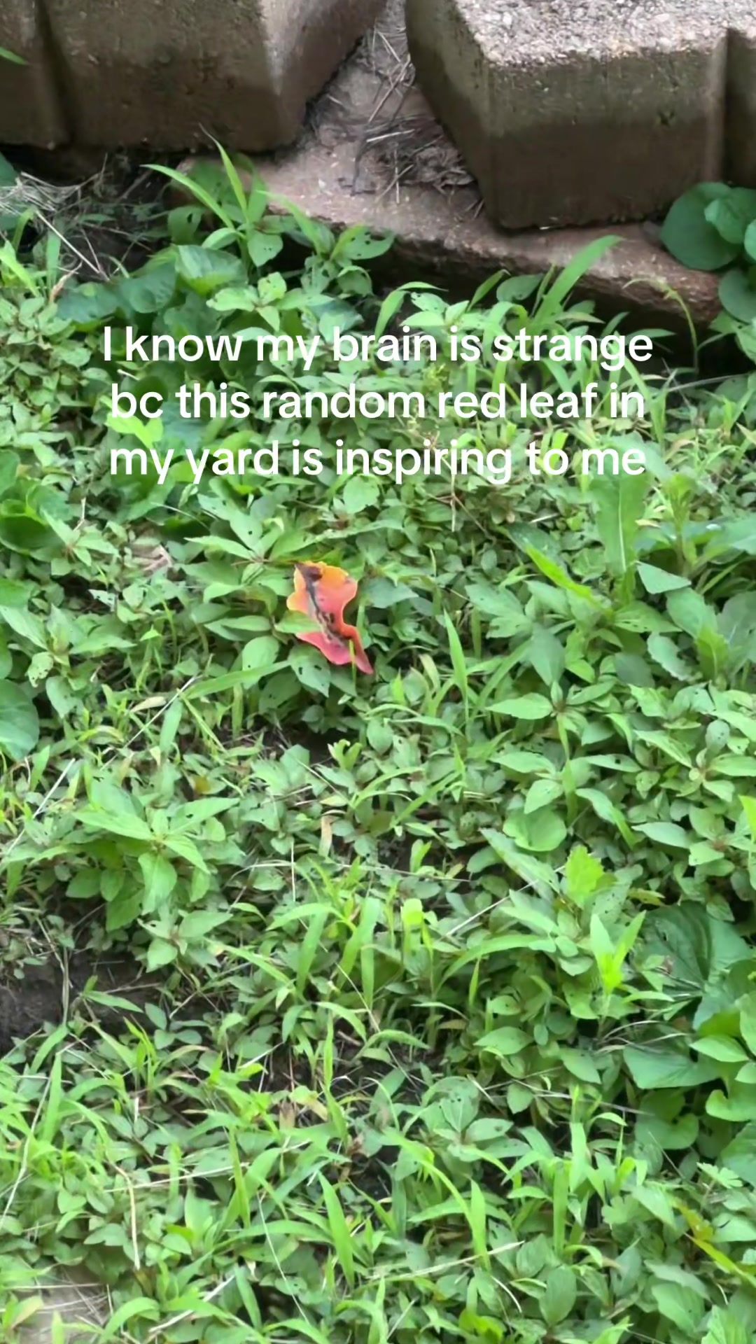 @kodama.flail