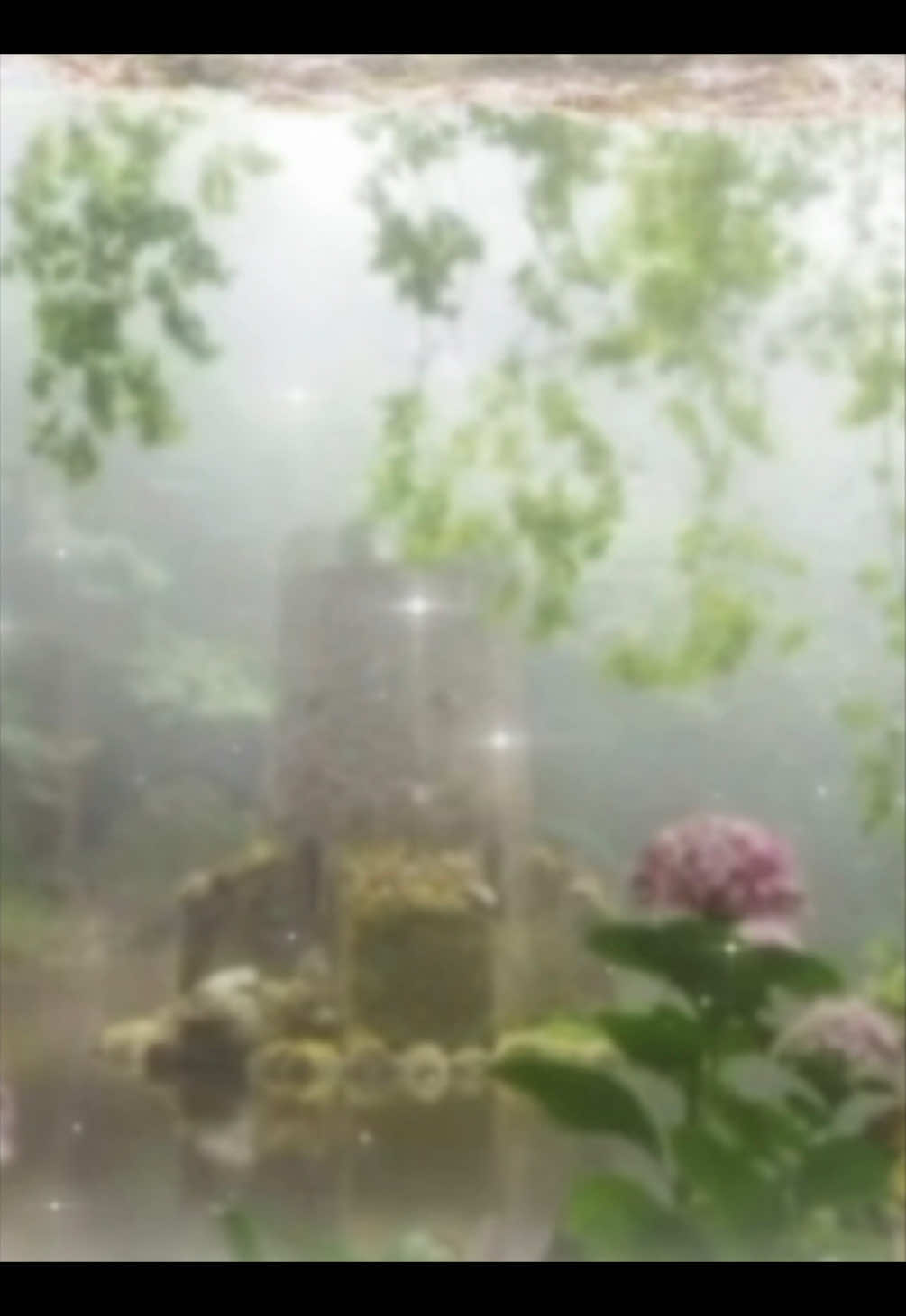 @° *:float_forever・゚`