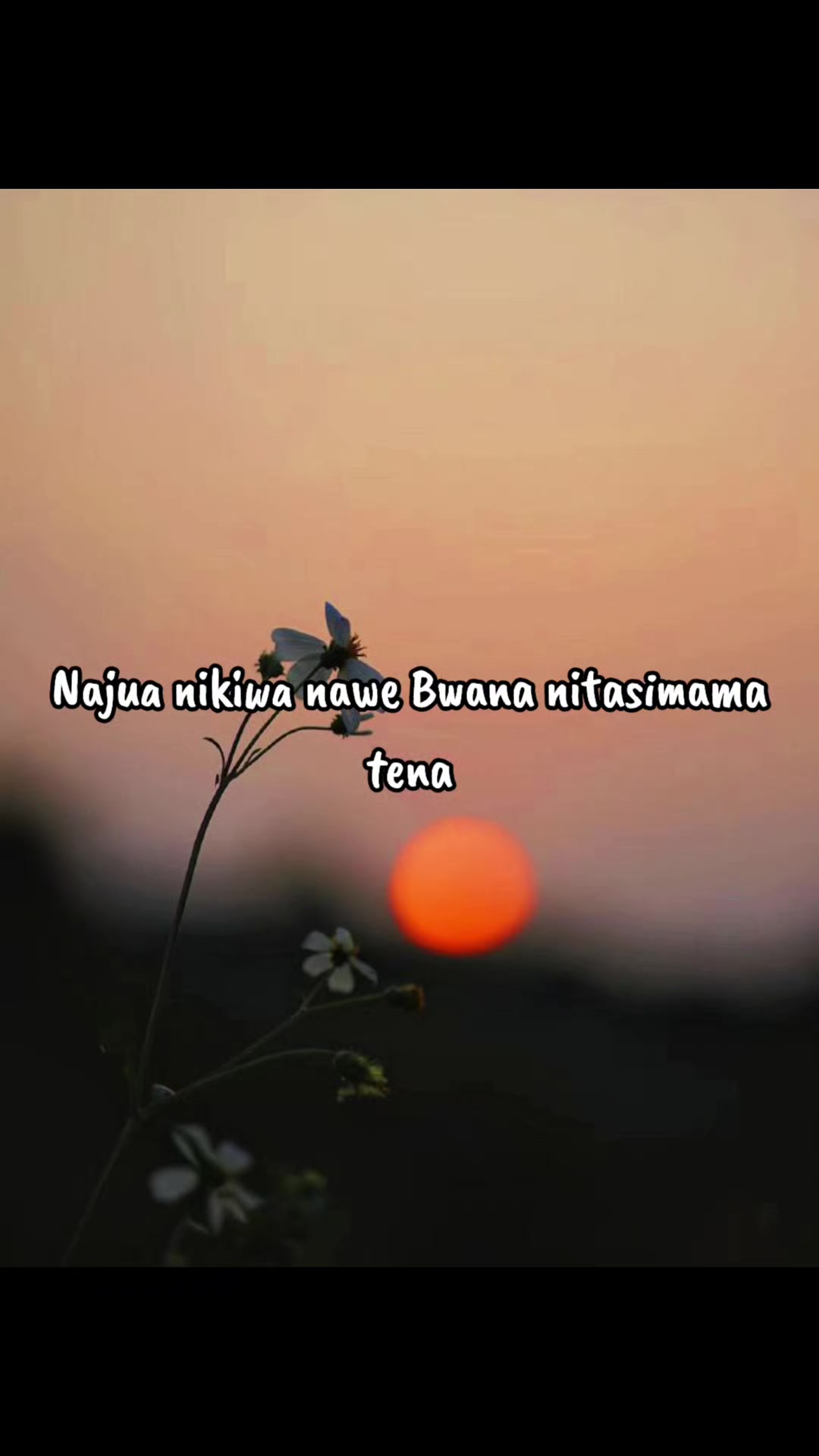 @@Grace Kaki✨
