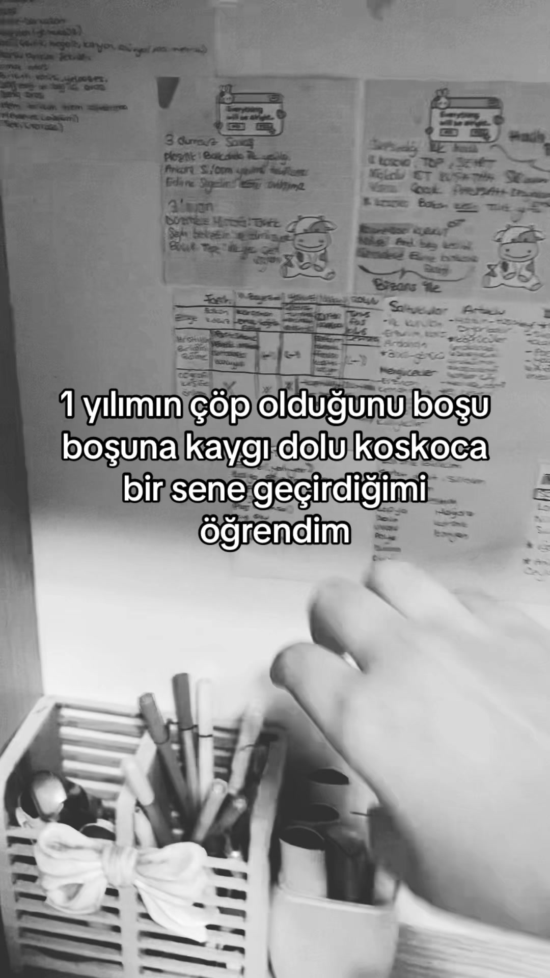 @ekin🎀