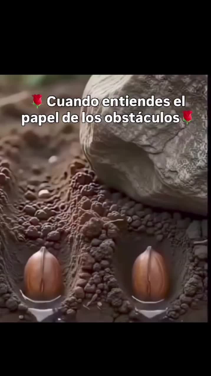 @CARMEN RIVERA