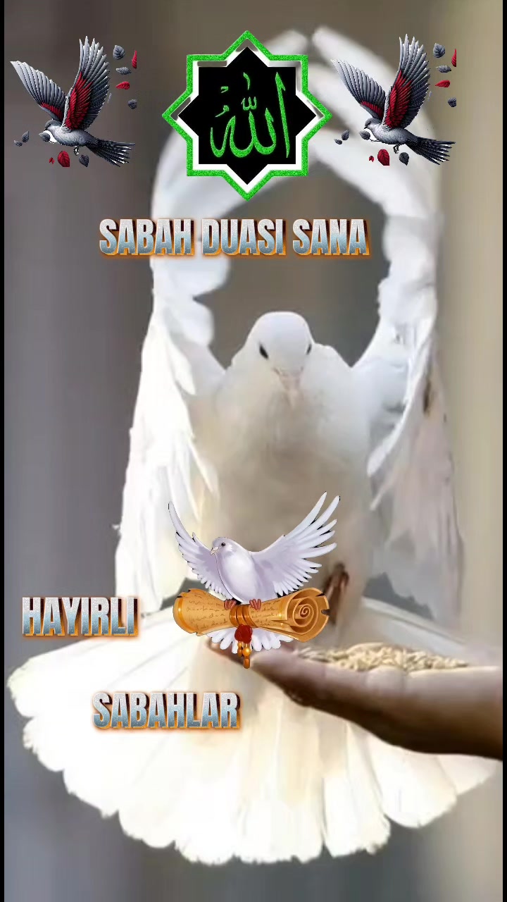 @💚NAKŞİ💜AİLESİ💚EBAGÜL❤️
