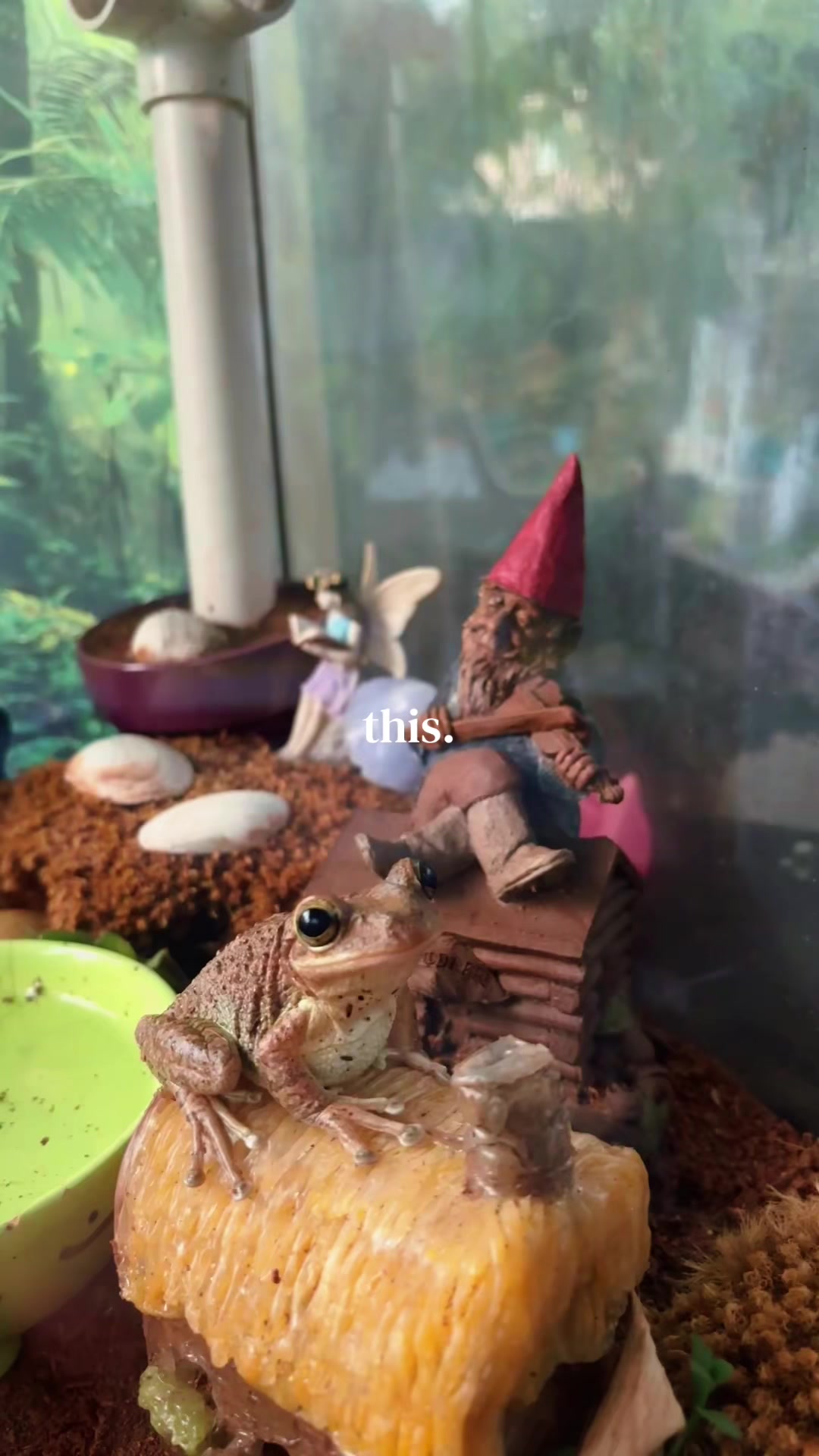 @originalSinkfrog