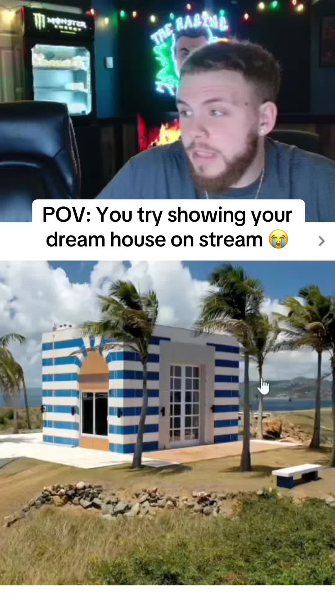 @Ant 💫
