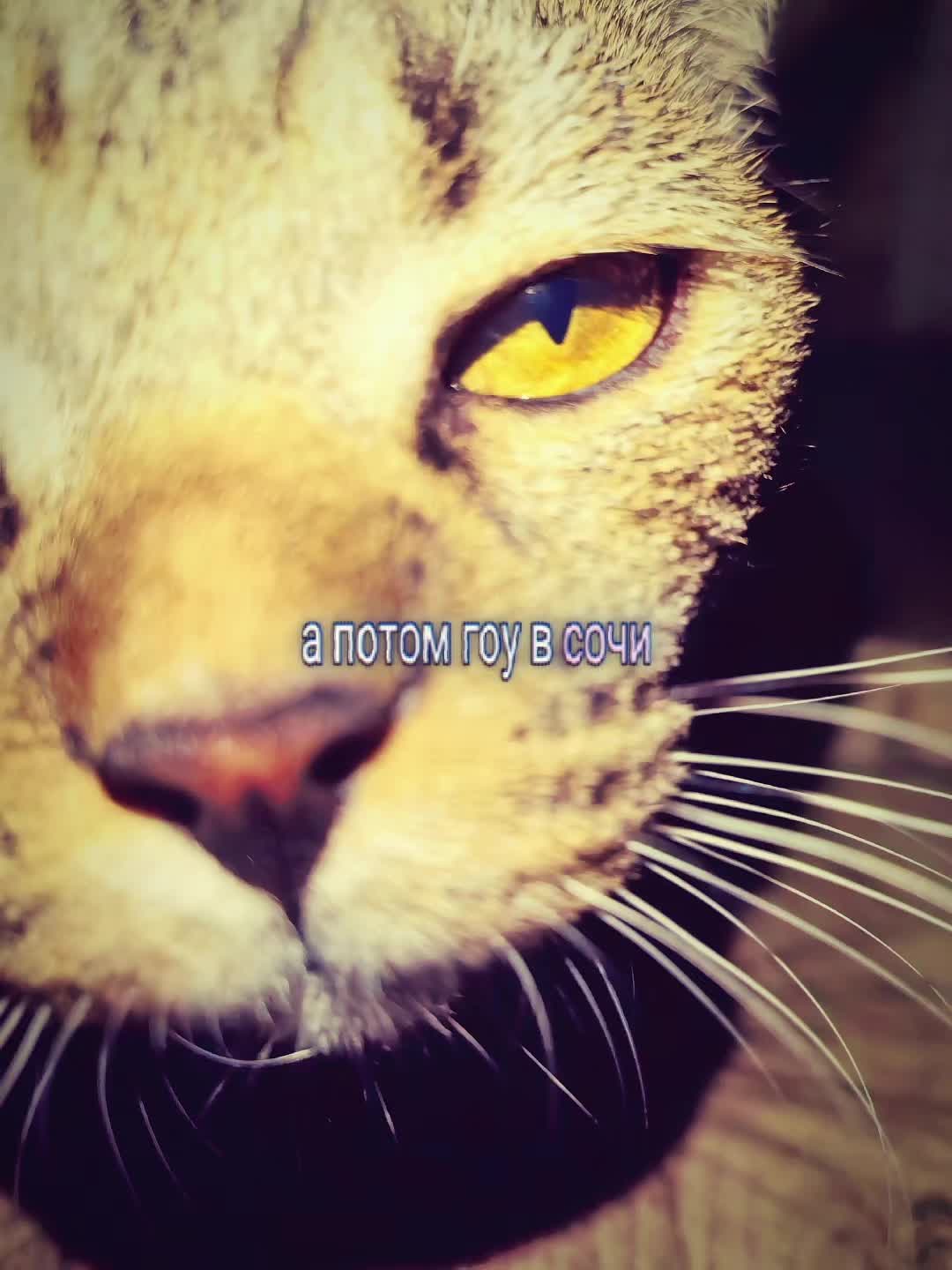 @𝒌𝒂𝒕𝒆𝒓𝒊𝒏𝒂😻