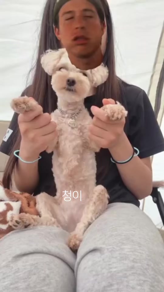 @๋ธ๊ธฐ์ฐ์ ๐๐ฅ