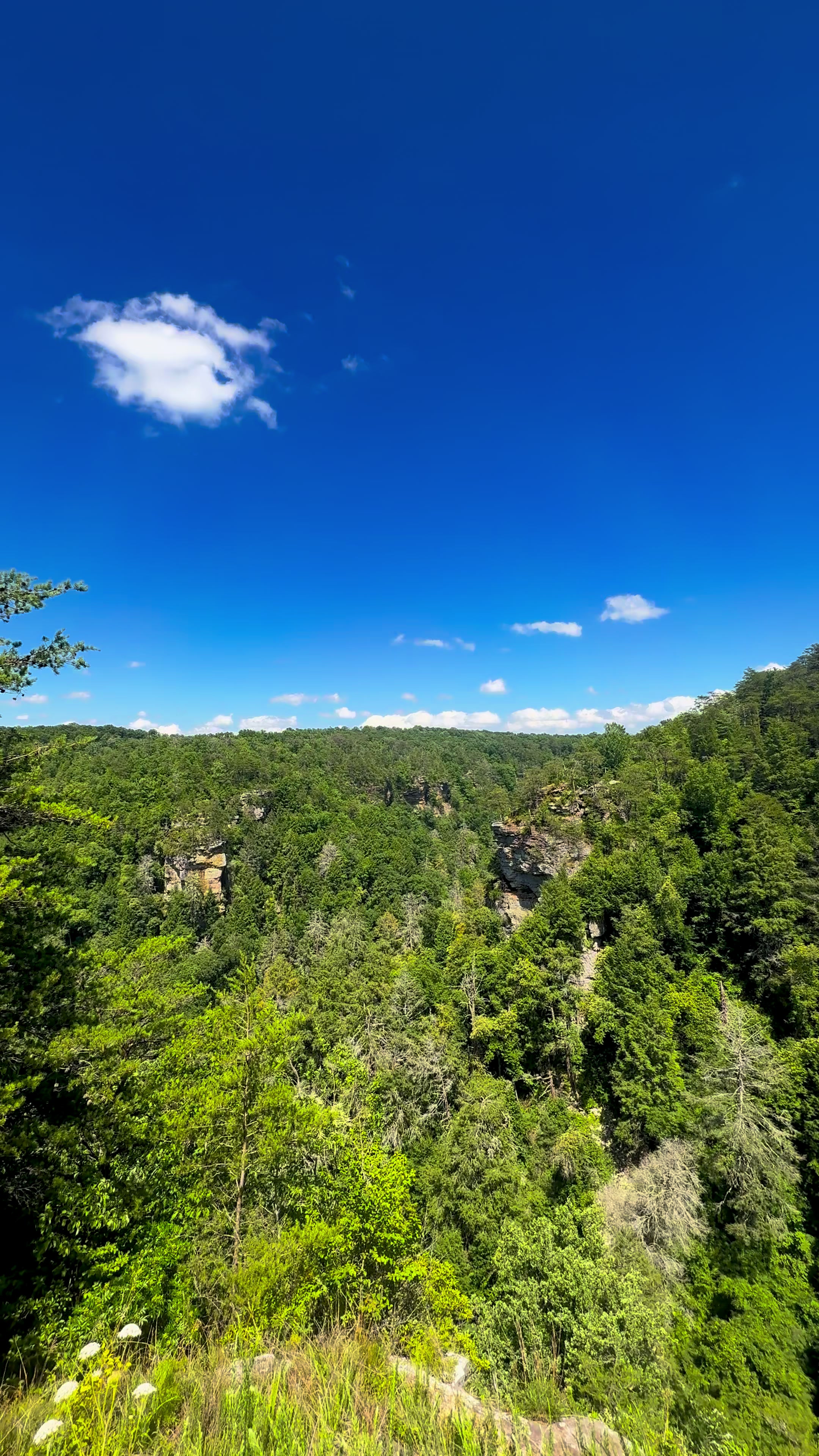 @Eli Guzmán🏞️😌