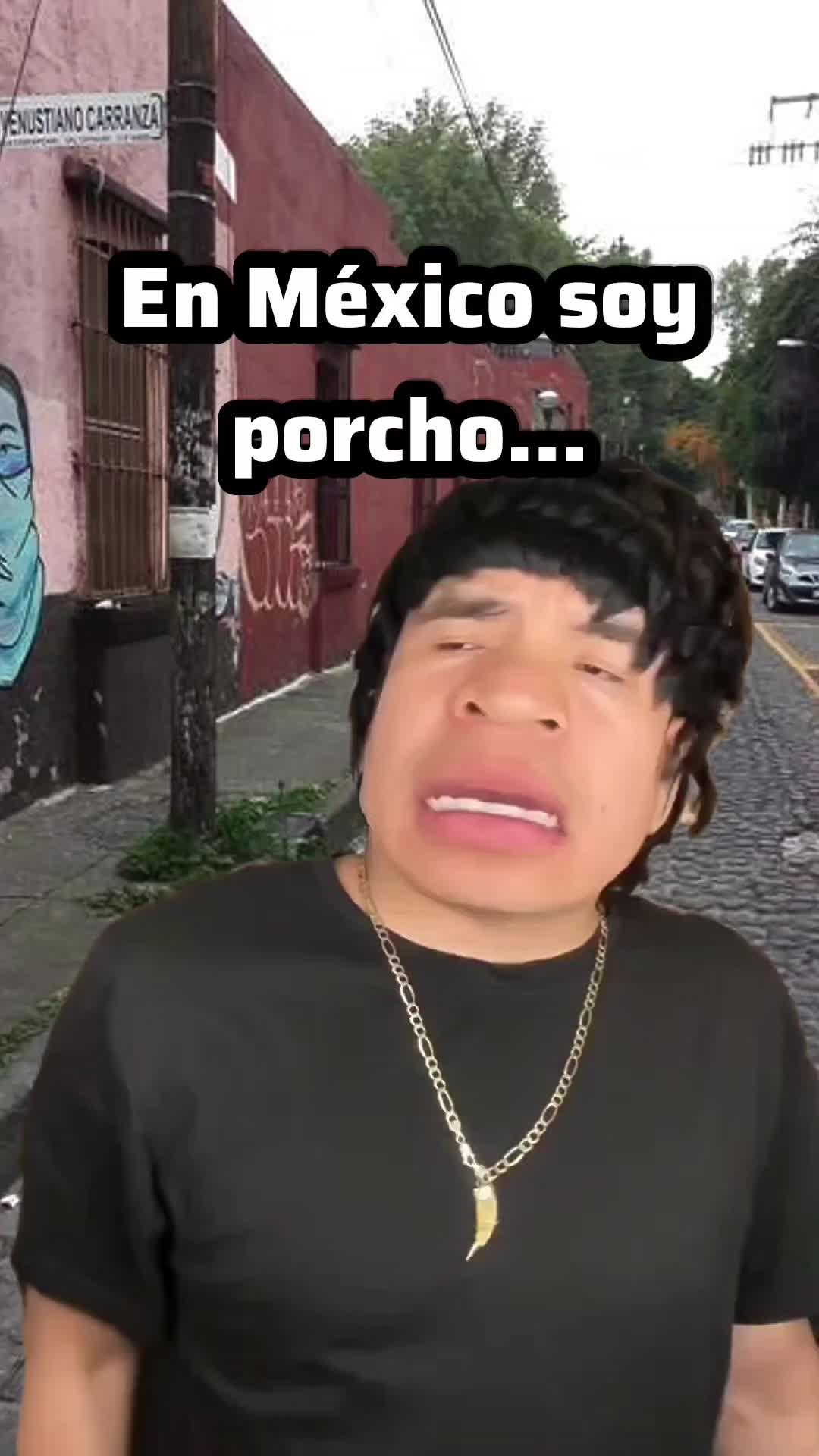 @🦗🦗Mexitachi🦗🦗