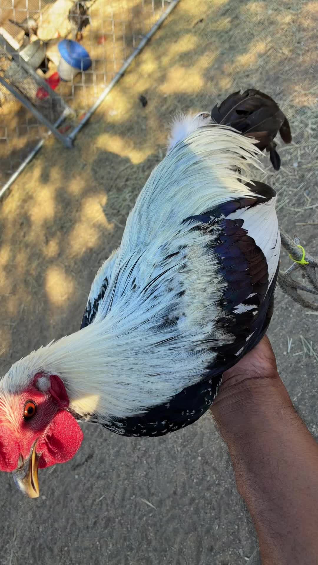 @A.MENDOZA.FARM.USA 74HWY