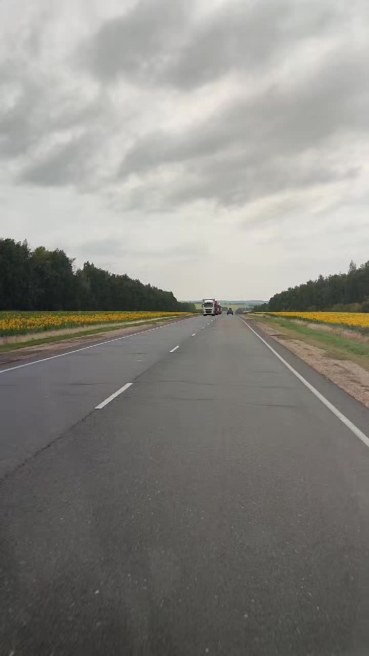 @Алексей К.