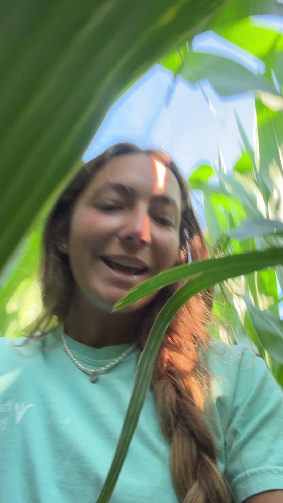 @Laura Farms