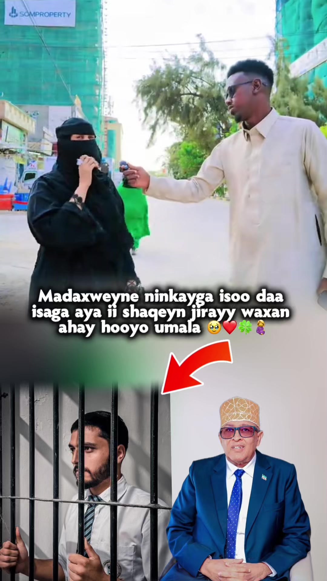 @๐๐ซ. ๐๐๐ซ๐๐ง ๅฝกโ
๐ฆ
๐ฎ๐น