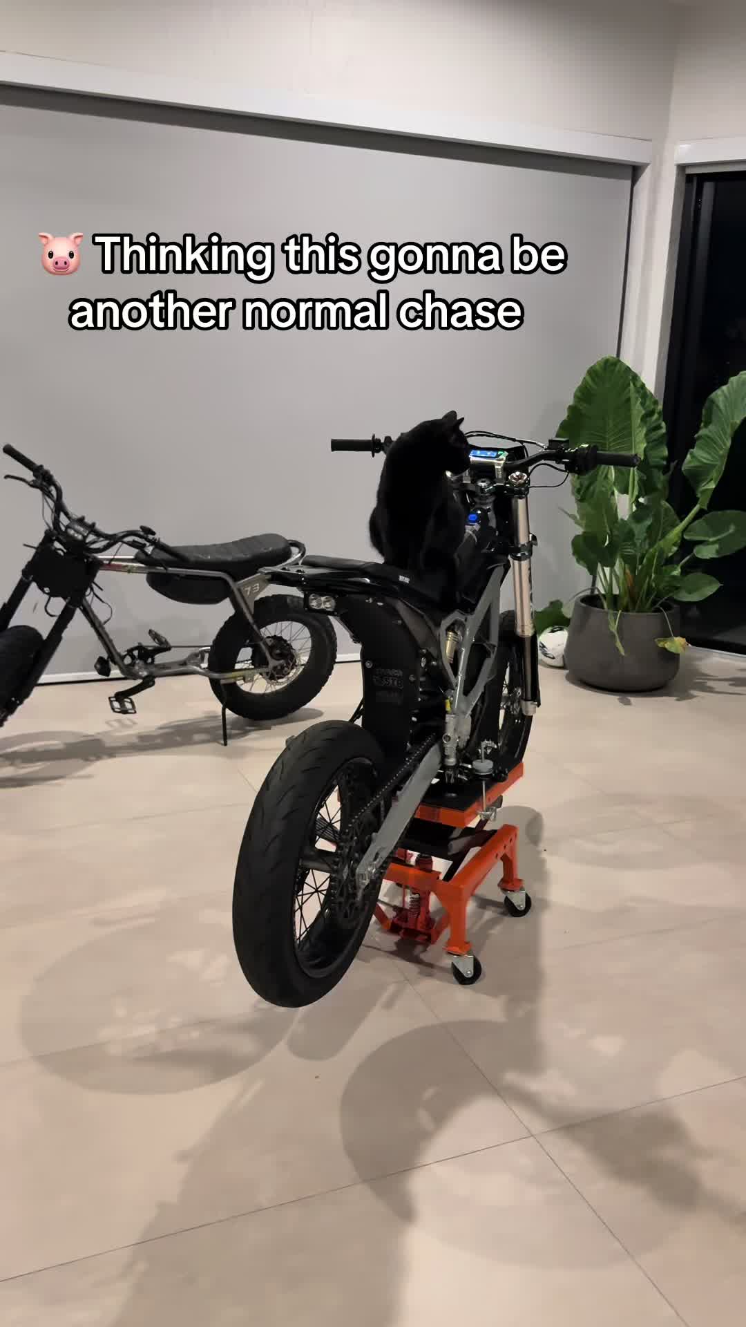 @StreetBeam.us