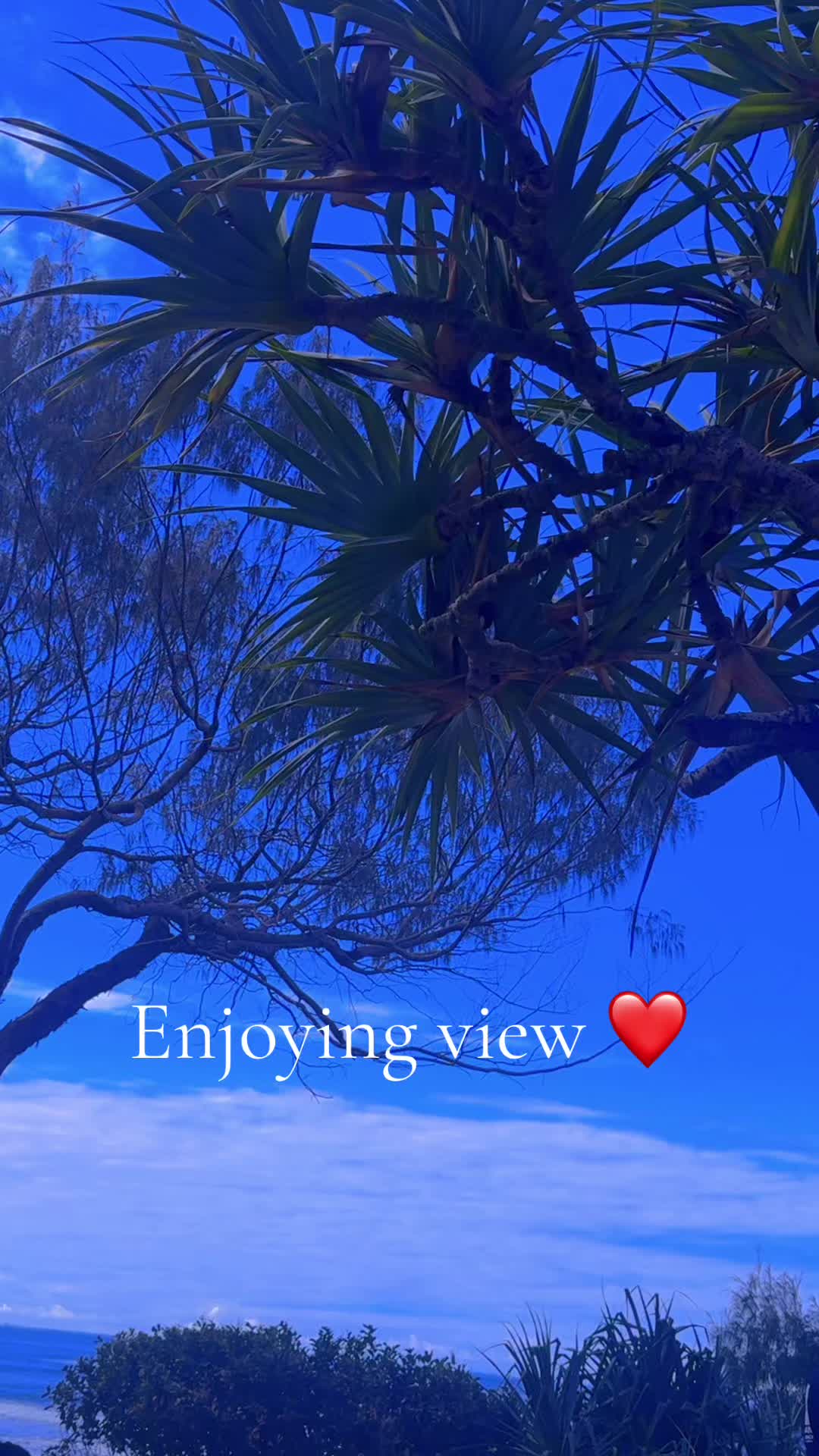 @Rachana ✨