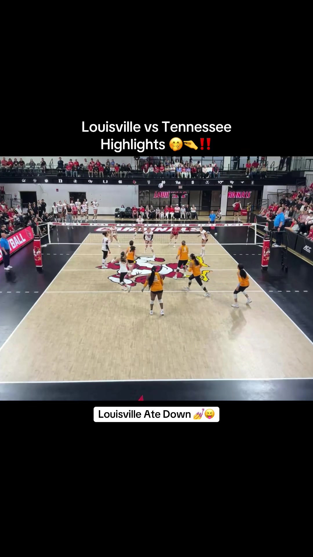 @ncaa_vball