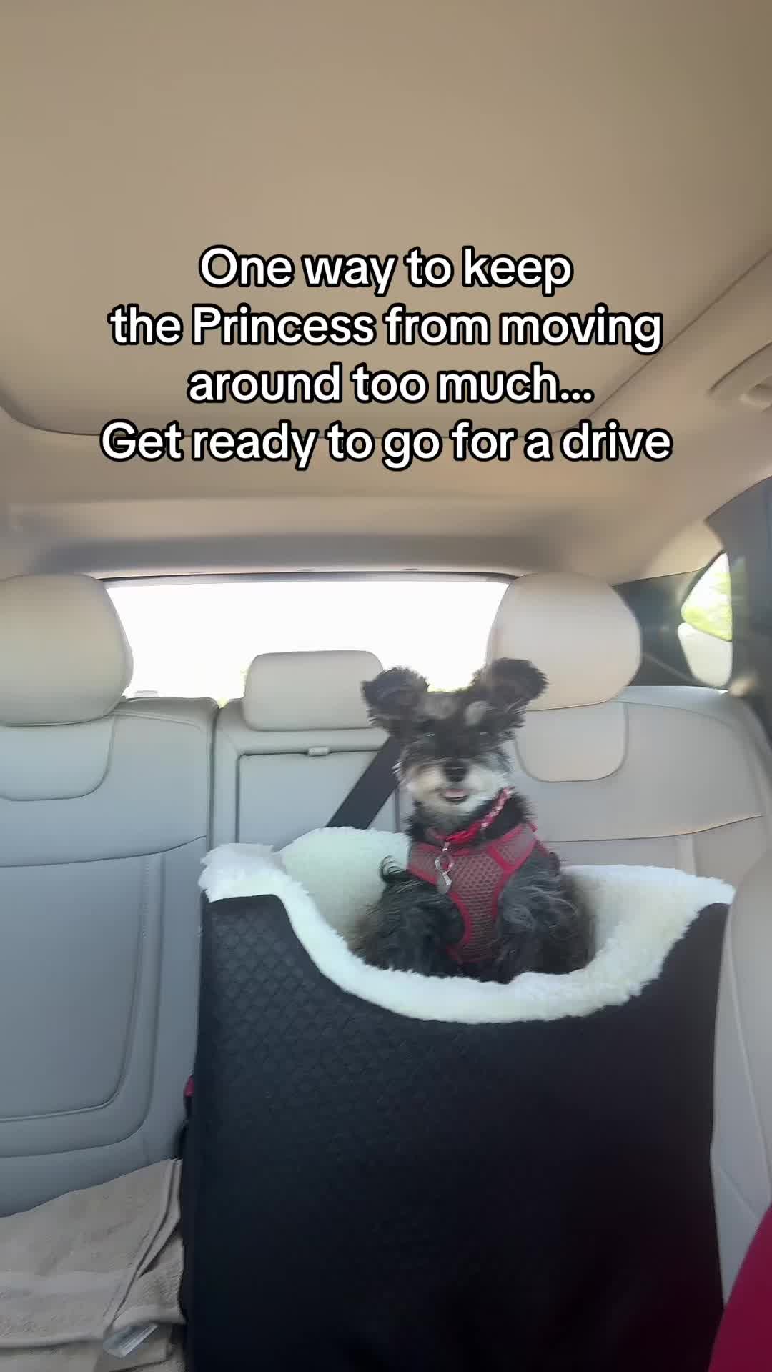 @Princess Pepper
