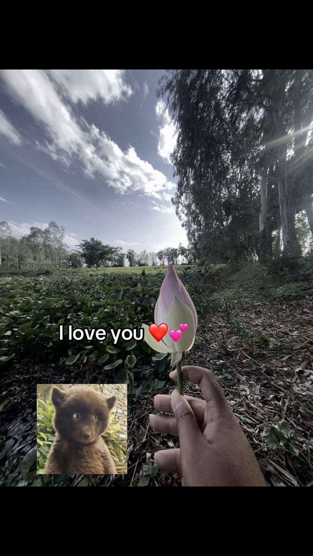 @Sak - សាក់ 👑🤍