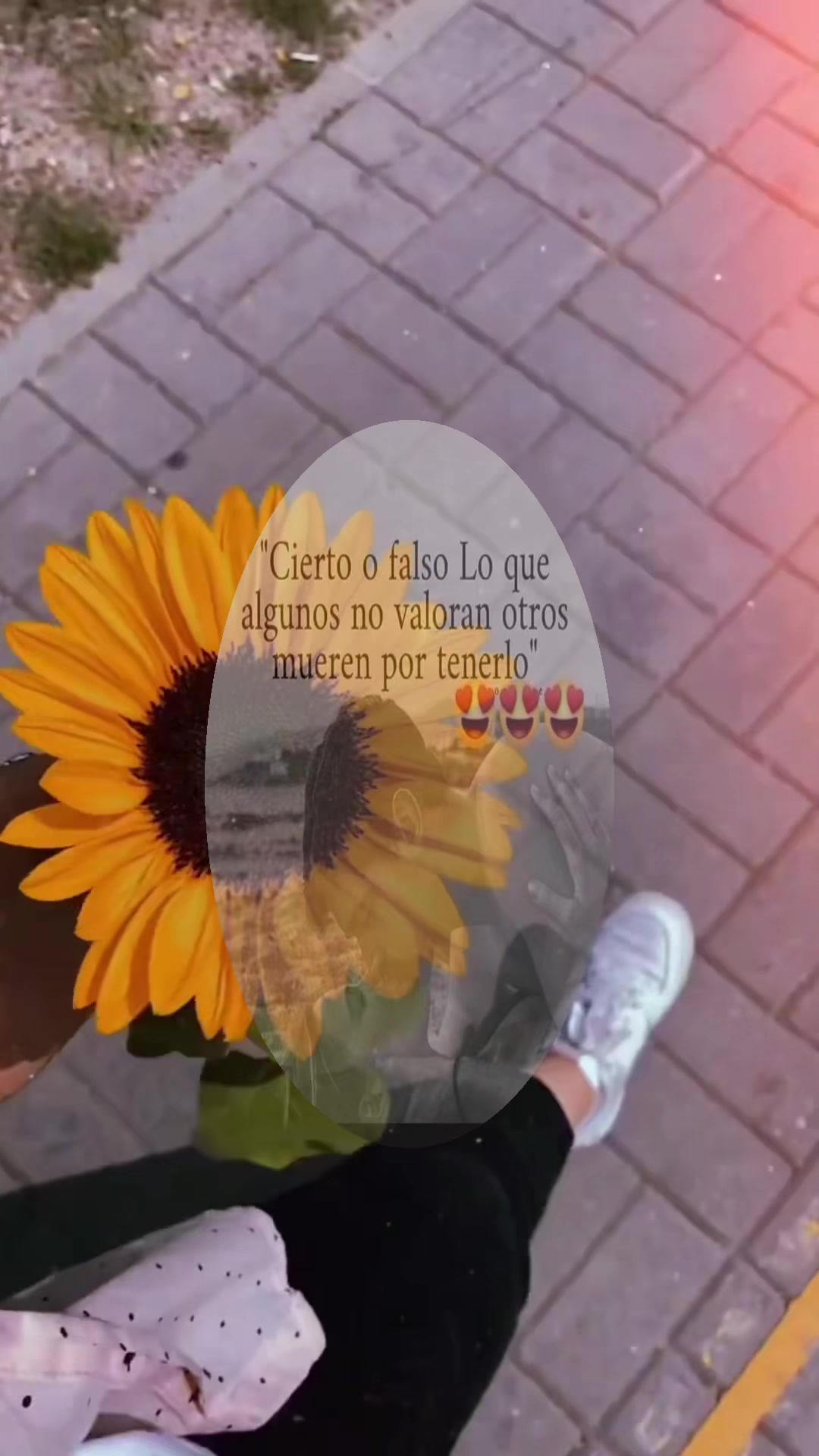 @COPITZY