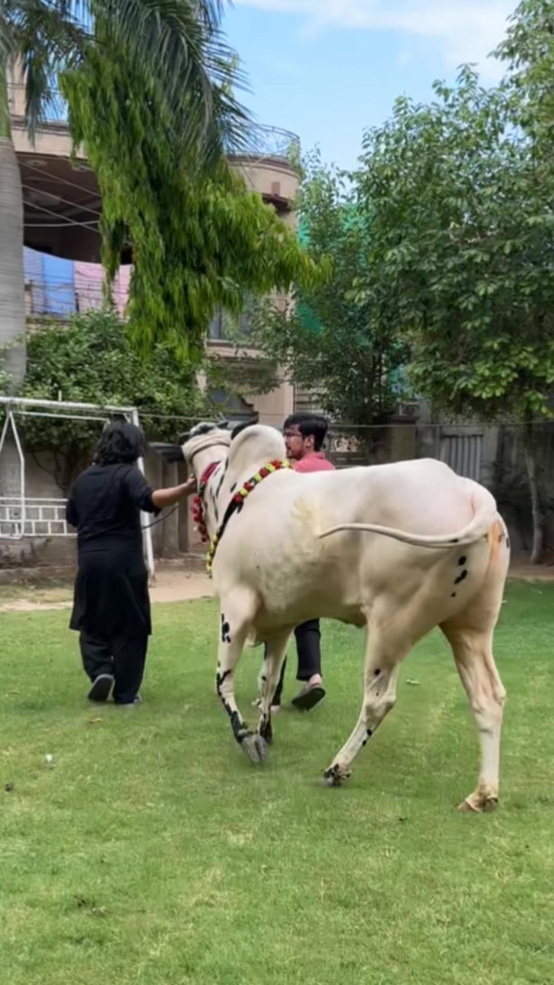 @ملک کہیان