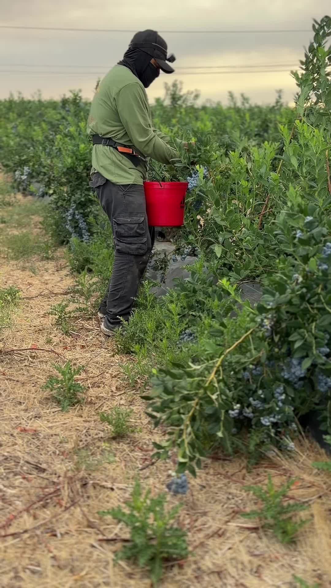 @Puros Trabajadores