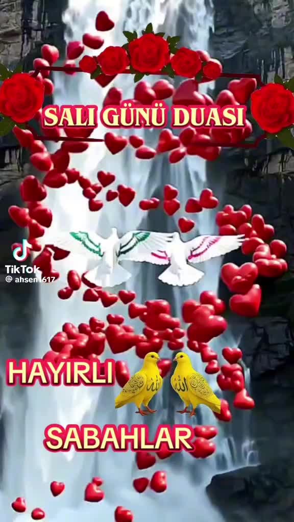 @TC Ahmet Siebertz