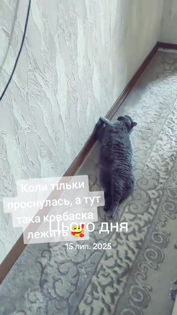 @Юлія ◽ Без сценарію