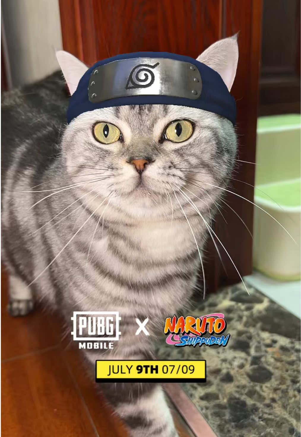 @catmi7 | Cat Creator ๐ฑ