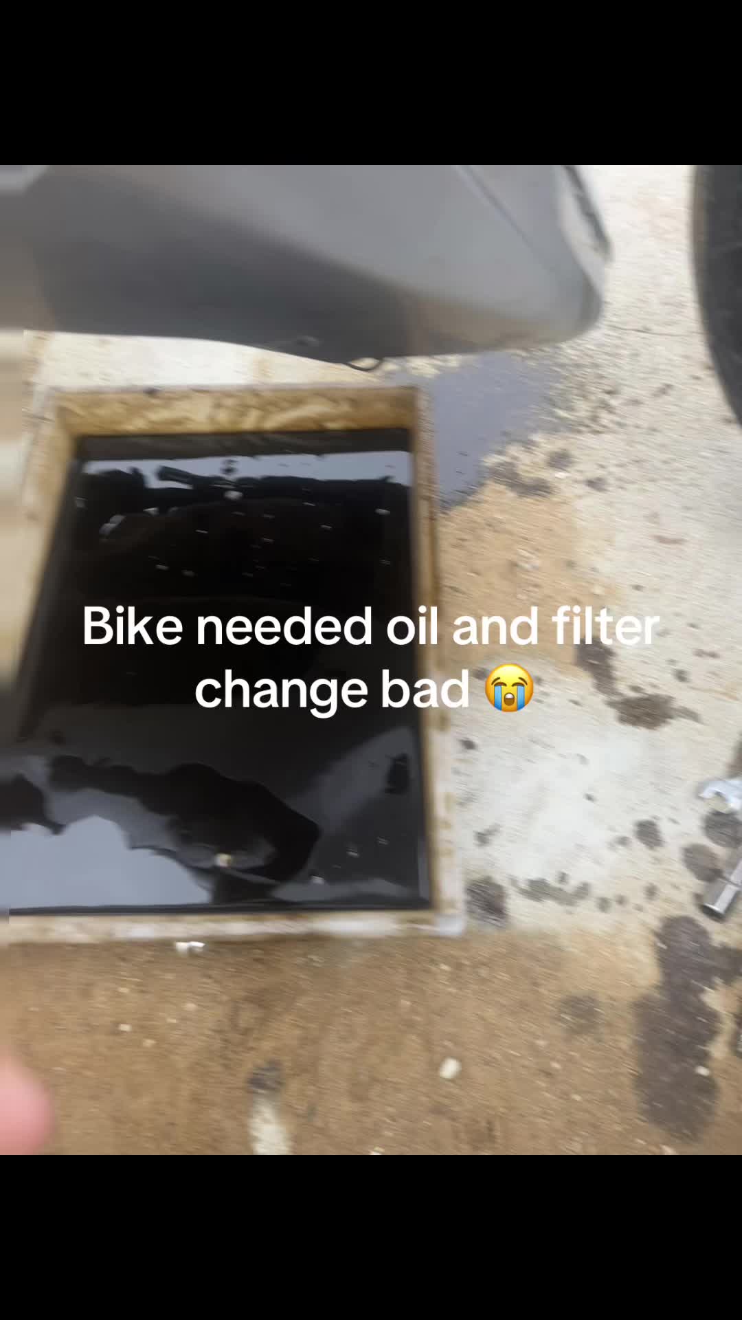@dirtbike 300