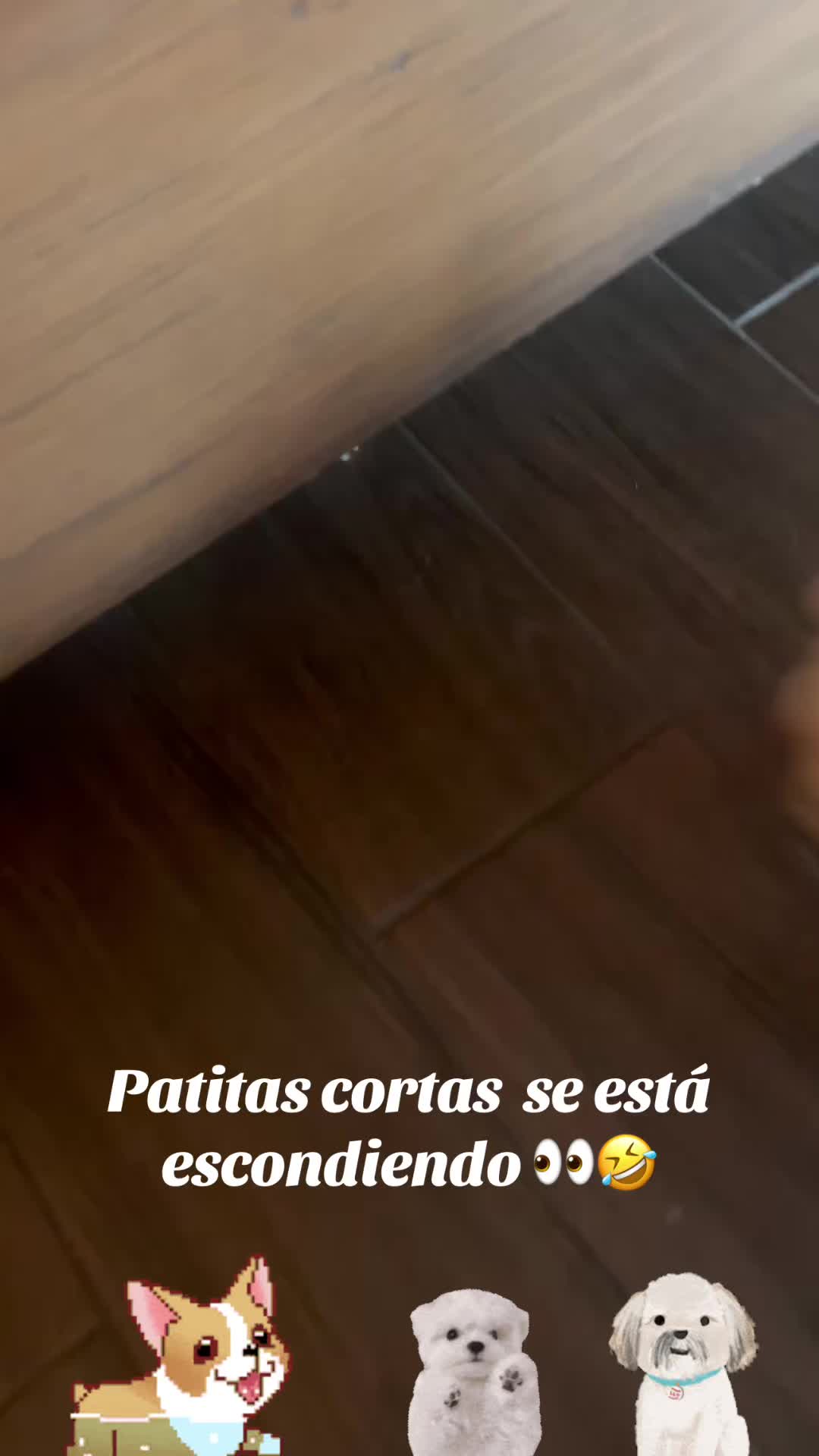 @los3huevertos