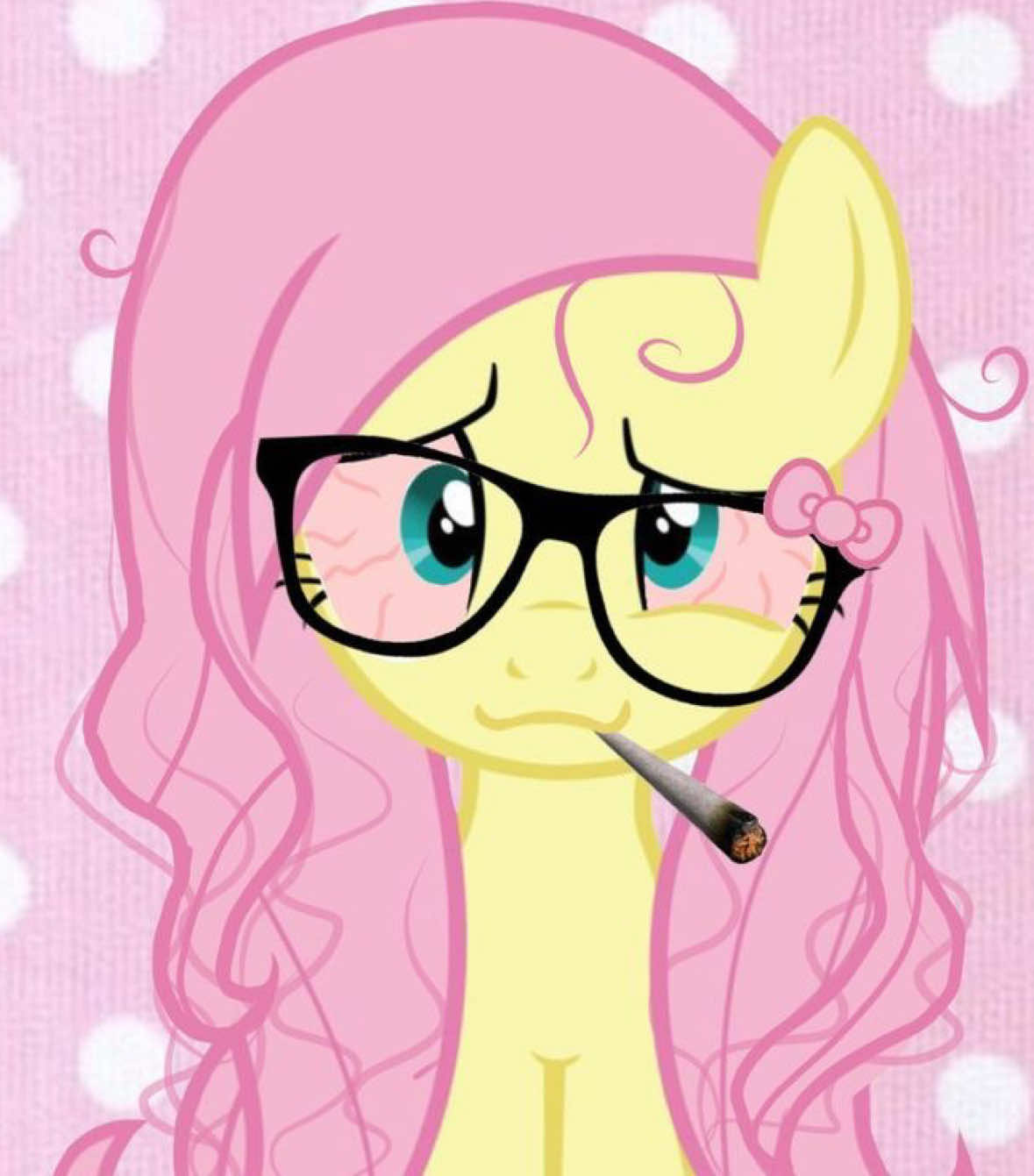 @≽^•⩊•^≼