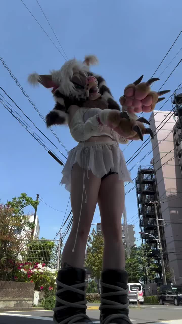 @Canine
