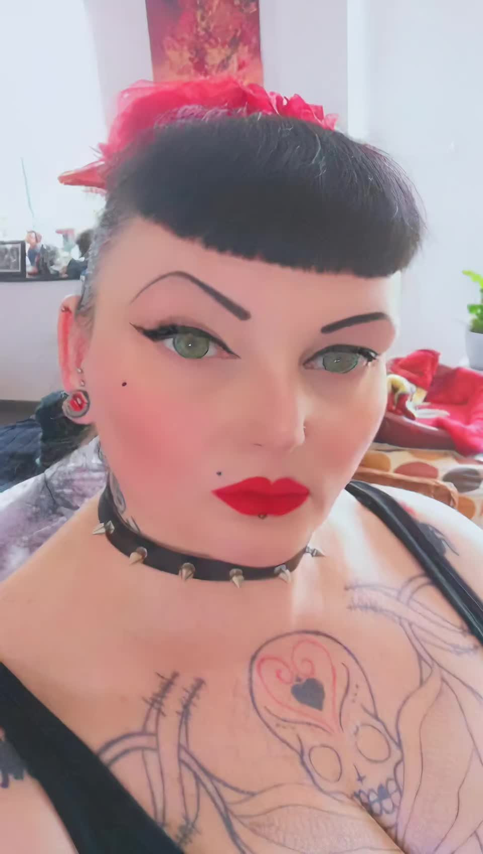 @🦇Abbey Von Stein🦇