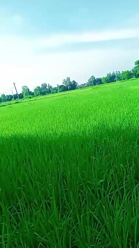 @thakursadhana000